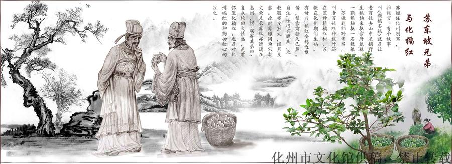 苏东坡与化橘红.jpg