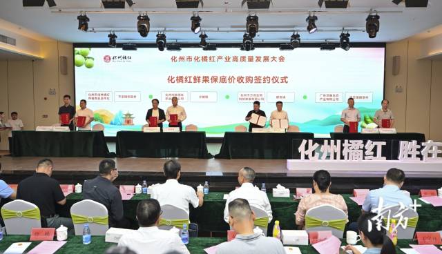 化橘红鲜果保底收购签约仪式。  