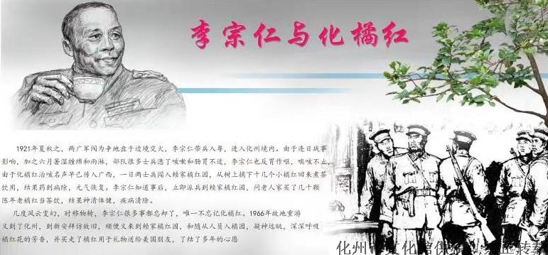 李宗仁与化橘红.jpg