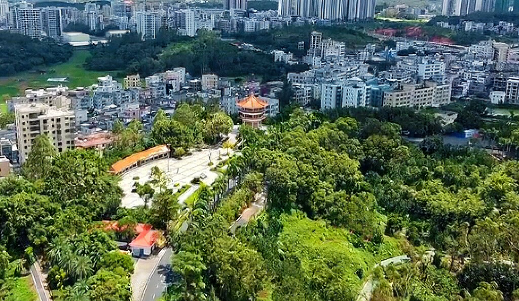 文章配图
