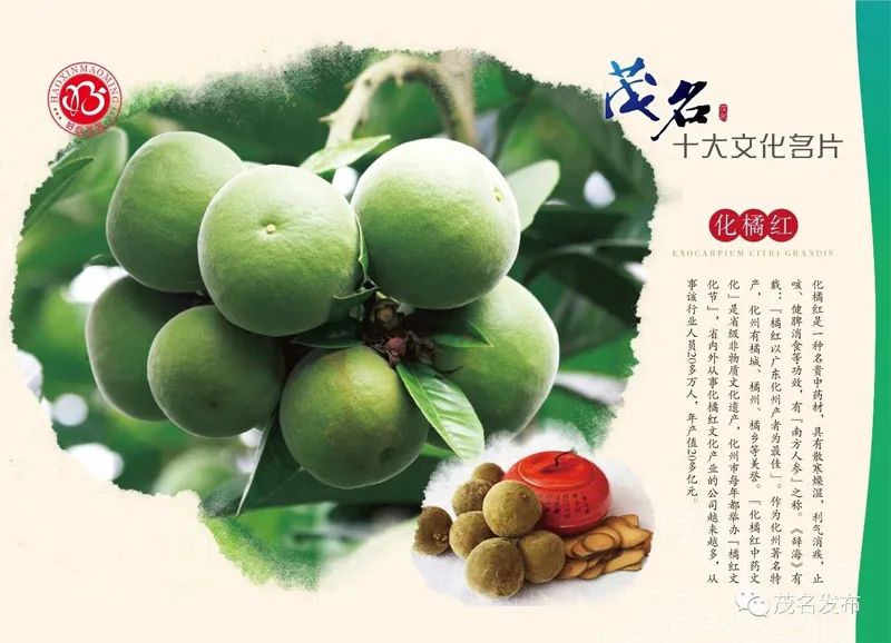 化州化橘红-化橘红官方网站 - 化橘红官方网站