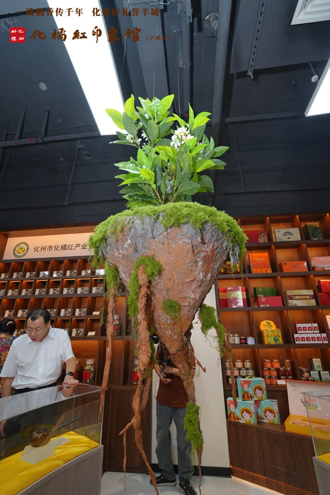 ZuBO4tdP_Jv4E.jpg?auth_key=1759679999-0-