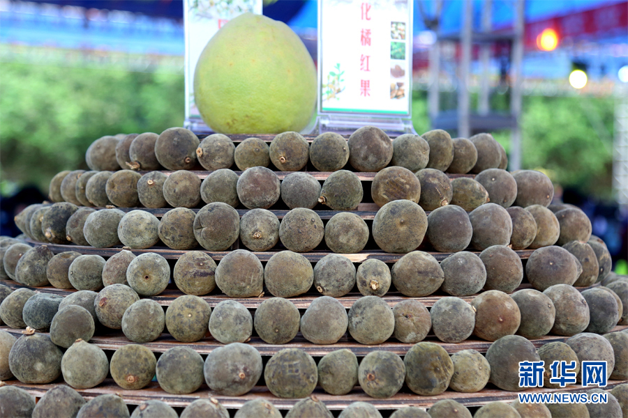 广东化州将举行多场化橘红产业品牌推进活动 - 化橘红官方网站