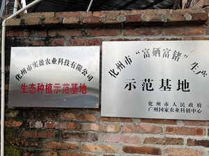 实盈科技公司生态种植基地