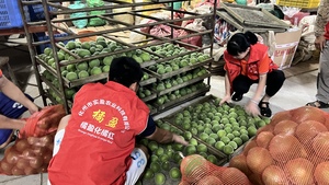 实盈科技橘红鲜果分拣